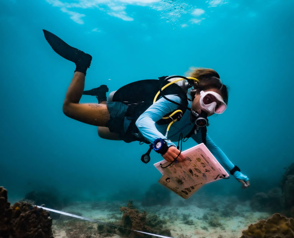 Artificial Reefs on Koh Tao: Restoring the Future of Our Oceans