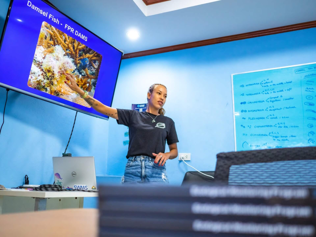 Marine scientists and conservation divers conducting long-term reef monitoring and research as part of the Scientific Diver eight-week program with Black Turtle Conservation, Koh Tao, Thailand.