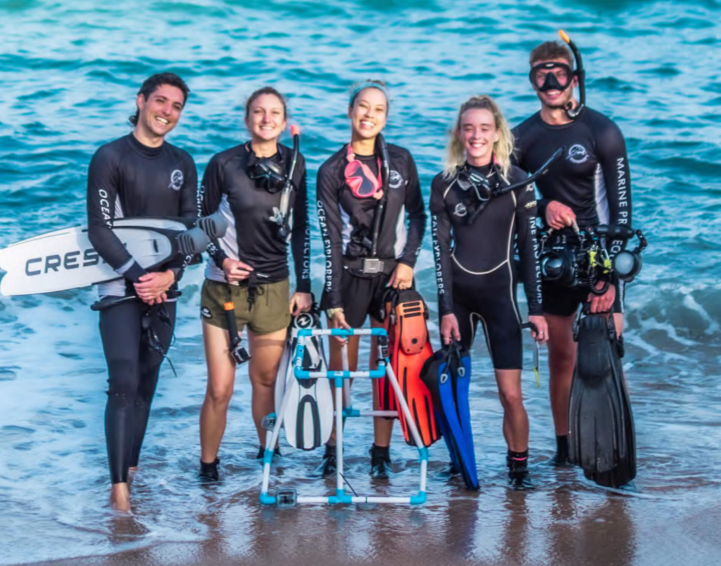 Group of marine conservation divers studying shark behavior and population ecology during the Shark Ecology course at Black Turtle Conservation, Koh Tao, Thailand.
