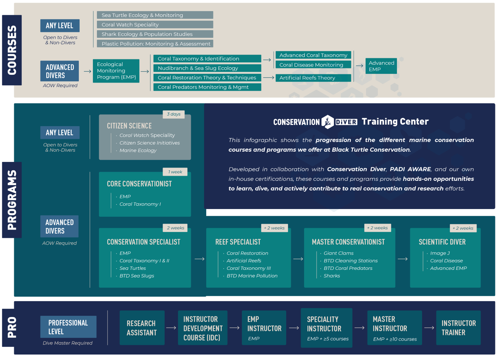 Black Turtle Conservation Learning Pathway