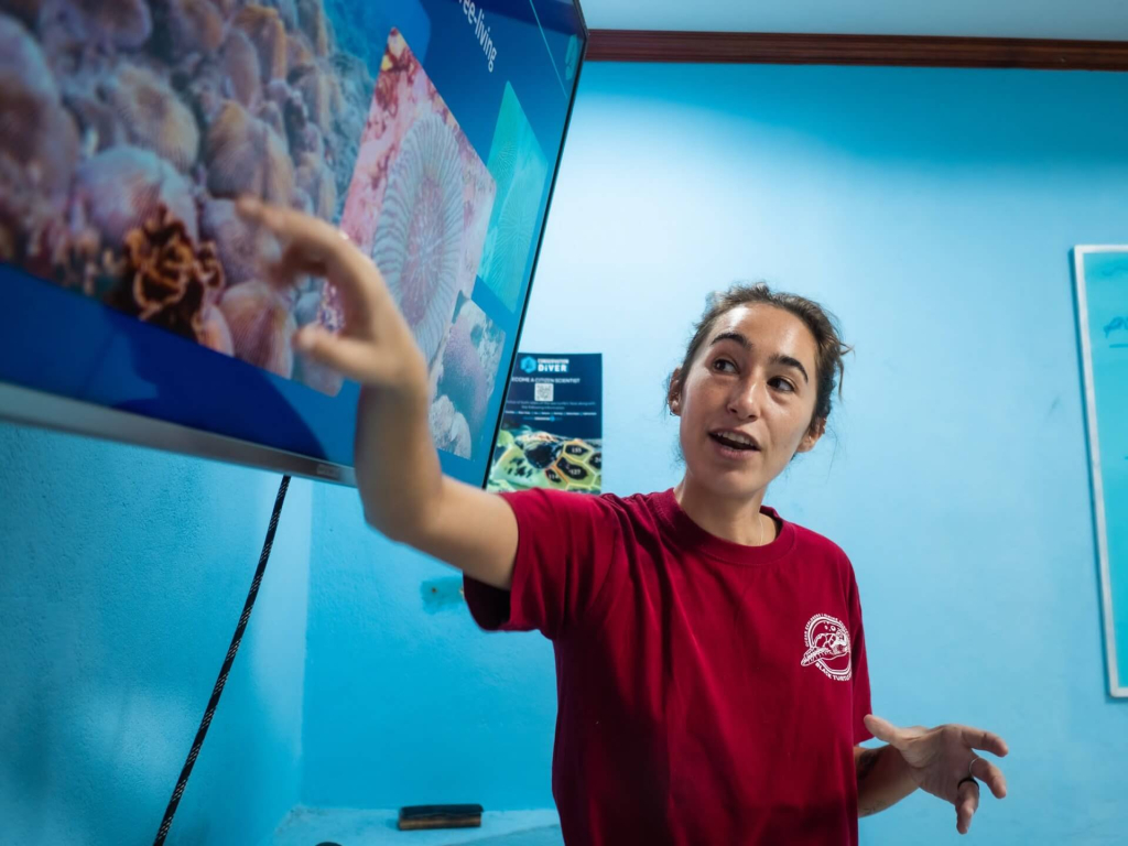 blackturtleconservation.com-advanced-ecological-monitoring-program-coral-identification-lecture-koh-tao Marine conservation instructor teaching coral identification techniques as part of the Advanced Ecological Monitoring Program theory session in Koh Tao.