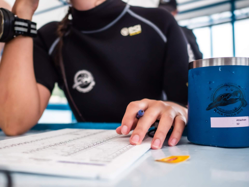 Advanced Ecological Monitoring Program student entering coral and substrate data after reef surveys with Black Turtle Conservation in Koh Tao.