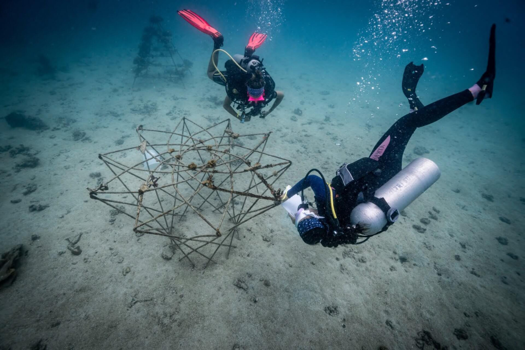 blackturtleconservation.com-artificial-reef-construction-divers-black-turtle-conservation-koh-tao Divers assembling and inspecting artificial reef structures underwater during the marine conservation training course in Koh Tao, Thailand.