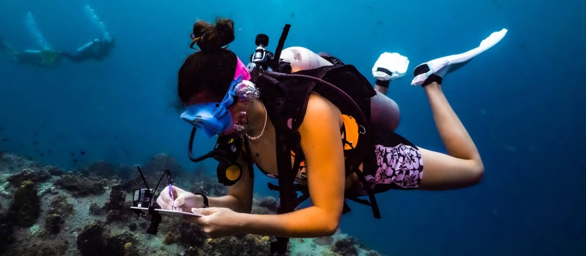 Marine conservation diver photographing nudibranch species on Koh Tao coral reef as part of biodiversity documentation.