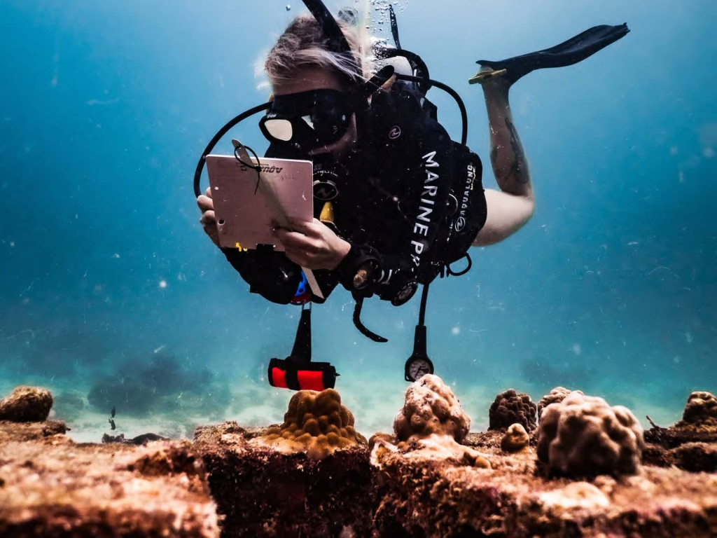 Students enrolled in a conservation-focused divemaster program combining professional dive training and marine conservation in Koh Tao.
