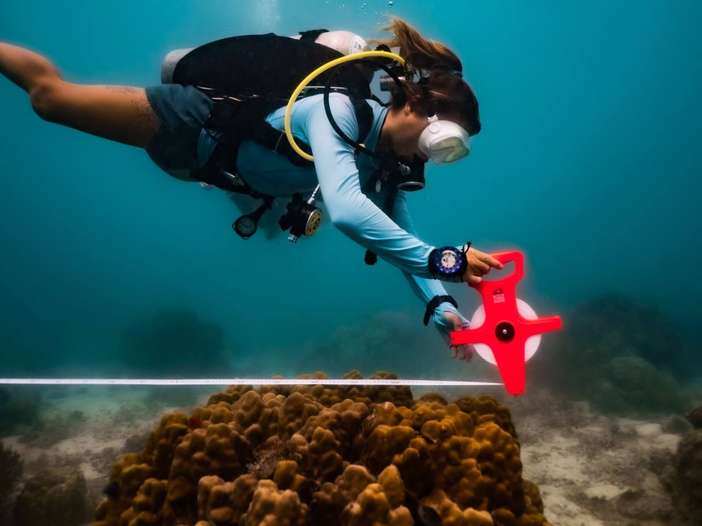 blackturtleconservation.com-conservation-specialist-advanced-buoyancy-training-koh-tao Conservation Specialist student demonstrating controlled buoyancy and strong underwater skills while training for reef conservation dives in Koh Tao.