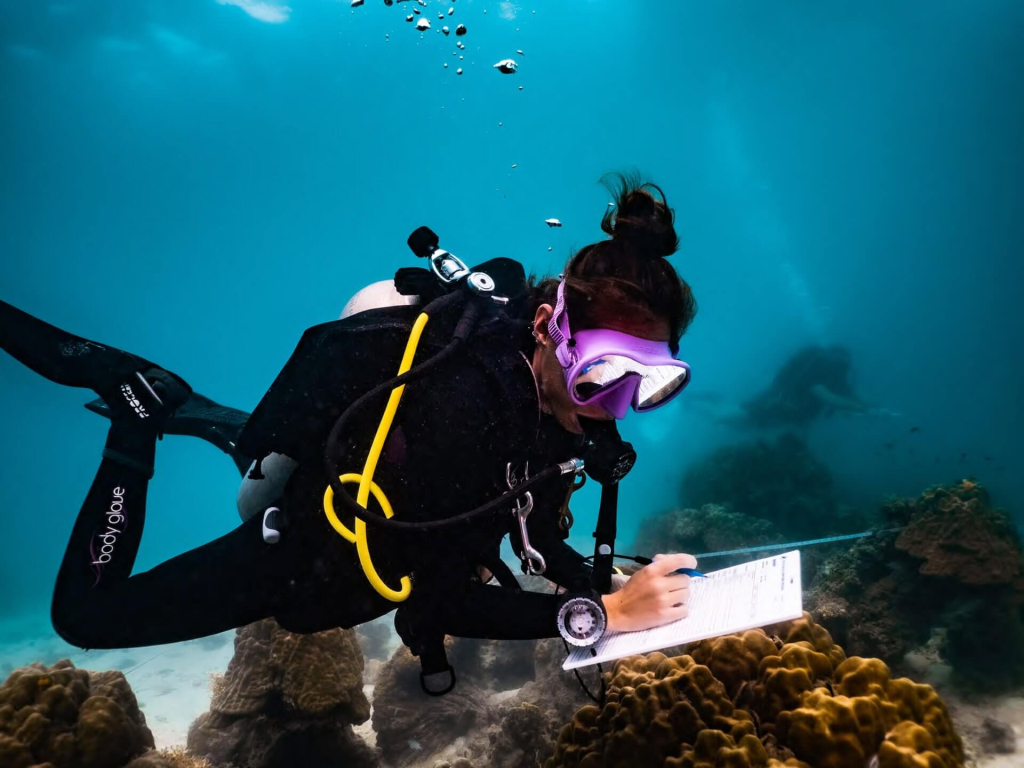 blackturtleconservation.com-conservation-specialist-coral-predators-survey-training-koh-tao Conservation Specialist students learning coral predator monitoring techniques and reef health assessment during conservation dives in Koh Tao.