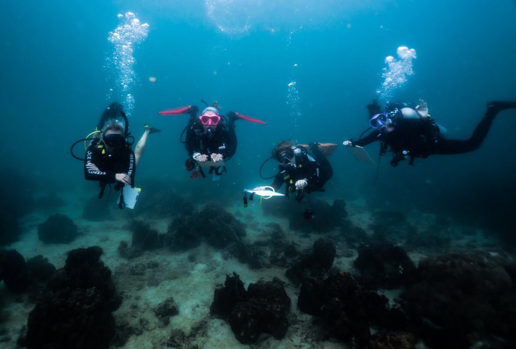 Marine conservation divers practicing coral reef monitoring surveys during the Conservation Specialist program in Koh Tao, Thailand.