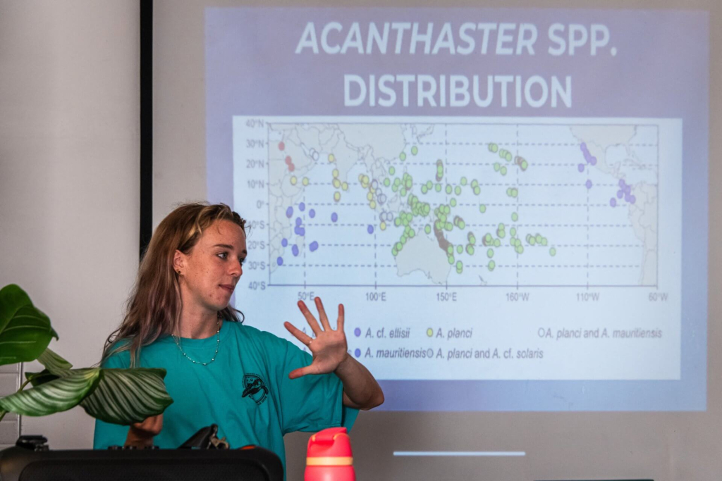 blackturtleconservation.com-coral-predators-course-acanthaster-distribution-lecture-koh-tao Marine conservation instructor teaching about Acanthaster spp. distribution during the Coral Predators course at Black Turtle Conservation in Koh Tao.
