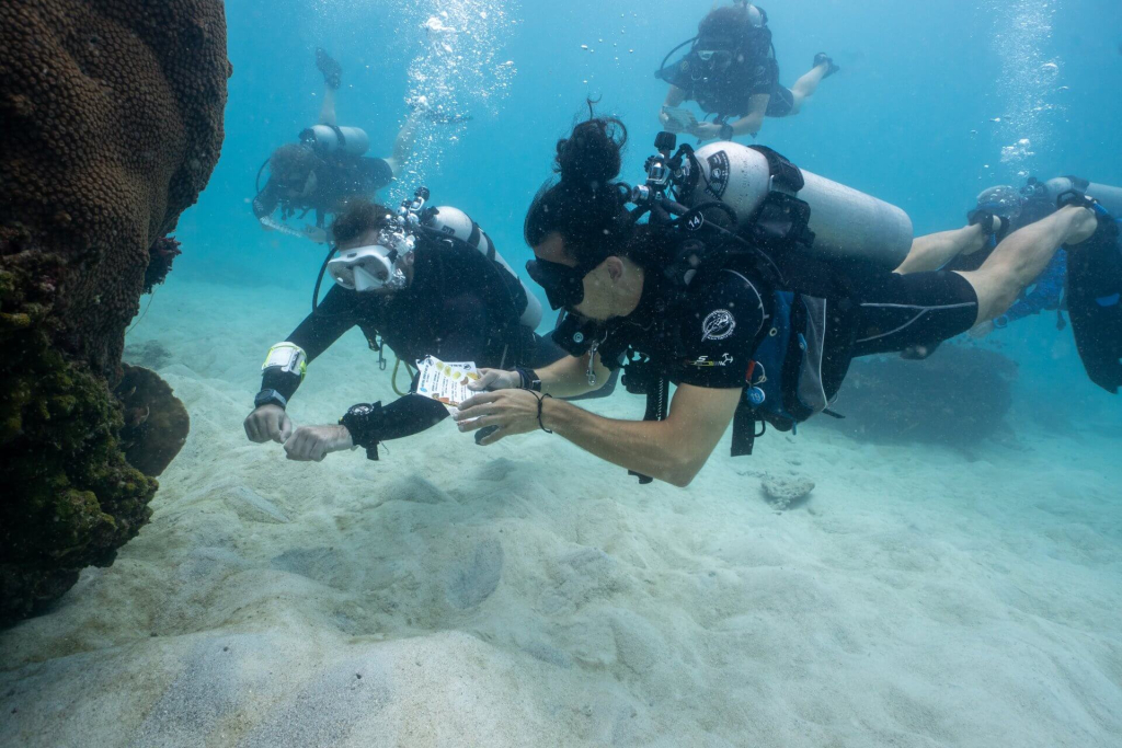 Student identifying coral species underwater during the Coral Taxonomy & Identification course with Black Turtle Conservation in Koh Tao, Thailand.