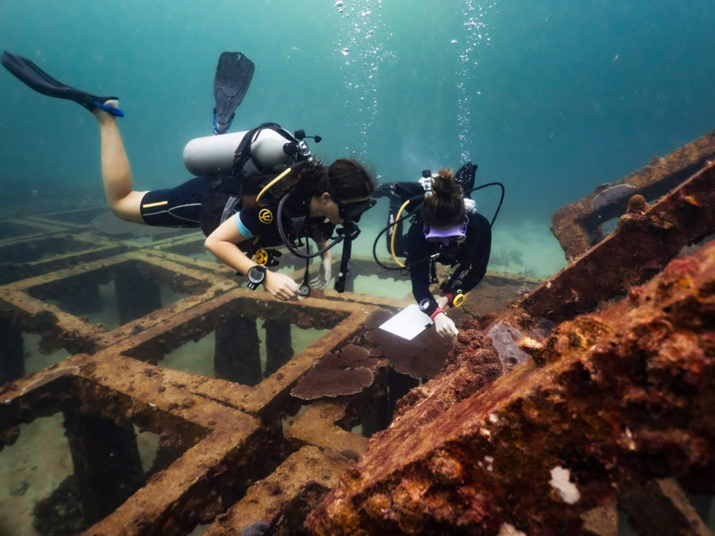 Core Conservationist students learning coral taxonomy and reef identification skills in Koh Tao, Thailand.