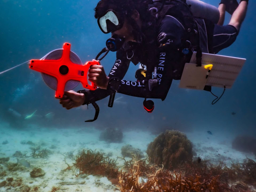 Core Conservationist students studying marine ecology and reef ecosystems during conservation training in Koh Tao, Thailand.