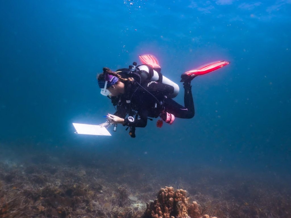 blackturtleconservation.com-core-conservationist-reef-monitoring-student-training-koh-tao Marine conservation students training in reef monitoring methods during the Core Conservationist program in Koh Tao, Thailand.