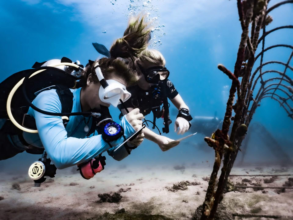 Eco Divemaster marine conservation career training dive focused on buoyancy, awareness, and reef protection in Koh Tao, Thailand.