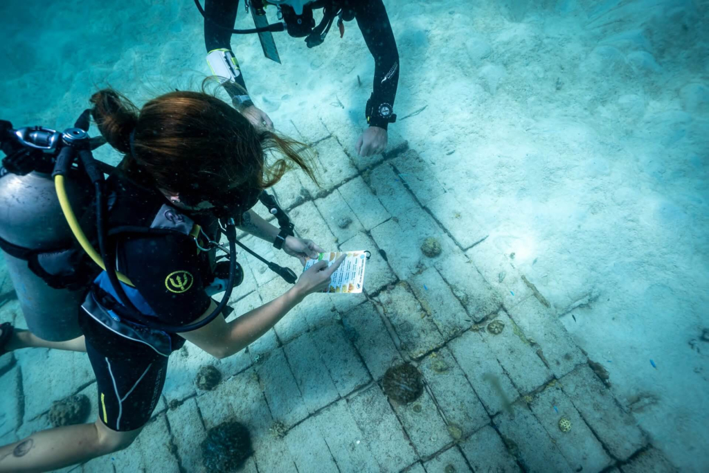 blackturtleconservation.com-learn-coral-identification-marine-conservation-course-koh-tao-thailand Instructor teaching coral identification techniques underwater during the Coral Taxonomy course at Black Turtle Conservation, Koh Tao, Thailand.