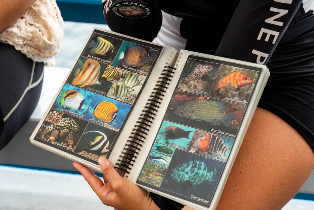 blackturtleconservation.com-learn-to-scuba-dive-koh-tao-beginner-open-water-course Beginner diver practicing core scuba skills during an Open Water course in Koh Tao, one of Thailand’s best locations to learn diving.