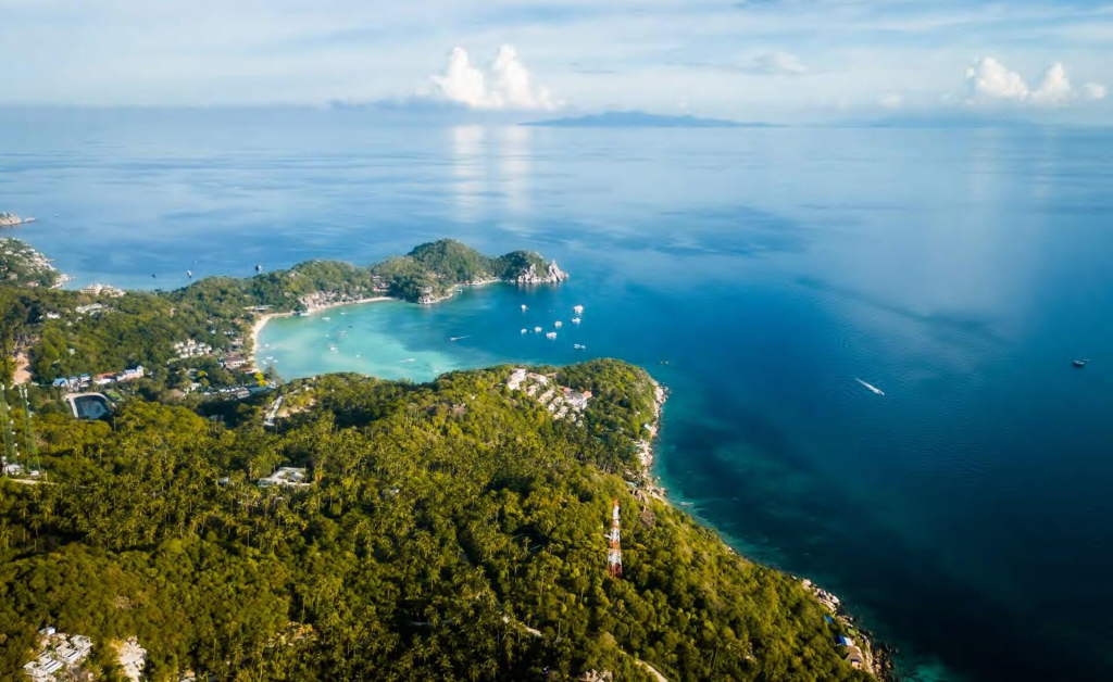 Marine conservation divemaster internship experience combining dive leadership training and applied conservation work in Koh Tao.
