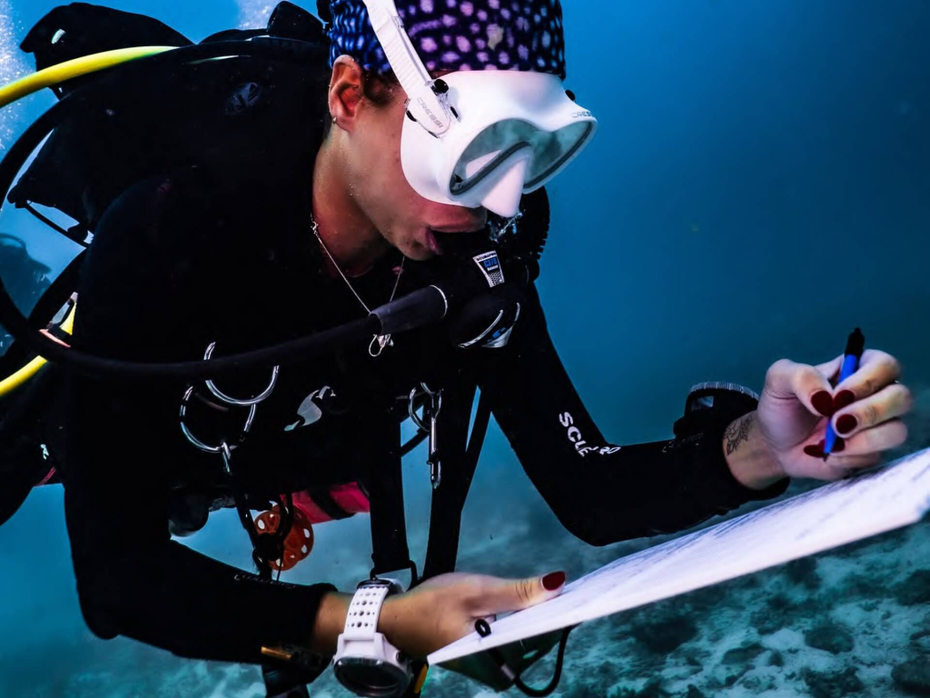 blackturtleconservation.com-master-conservationist-advanced-reef-monitoring-training-koh-tao-thailand Master Conservationist divers developing advanced reef monitoring skills as part of a 6-week marine conservation program in Koh Tao, Thailand.
