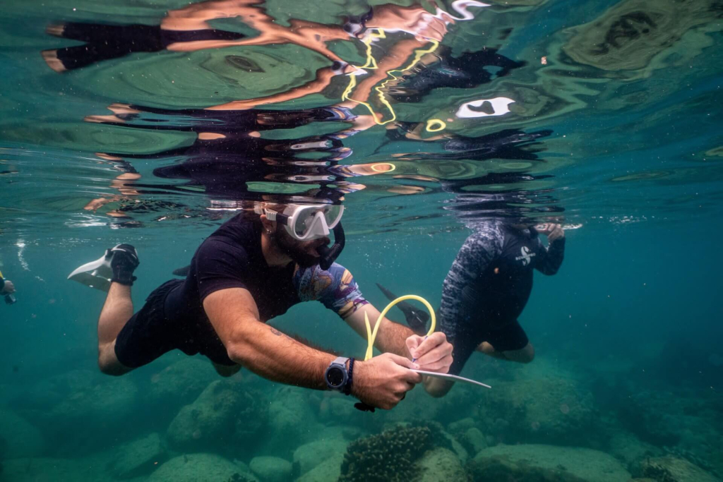 Master Conservationist trainees conducting shark monitoring and population study surveys during a 6-week marine conservation course in Koh Tao, Thailand.