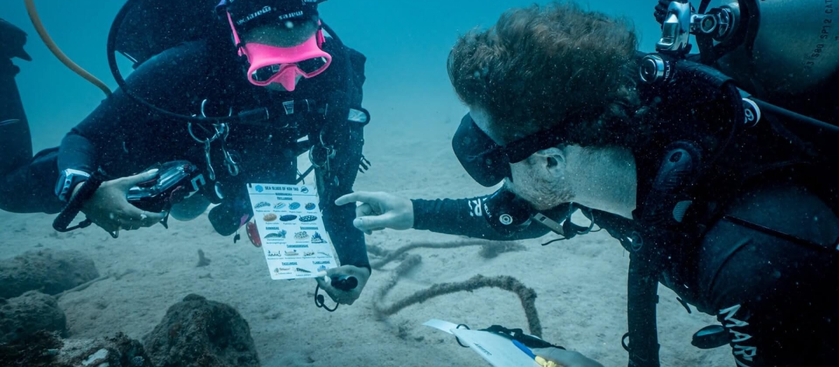 Marine conservation students identifying nudibranch species underwater during the Sea Slug Ecology course at Black Turtle Conservation.
