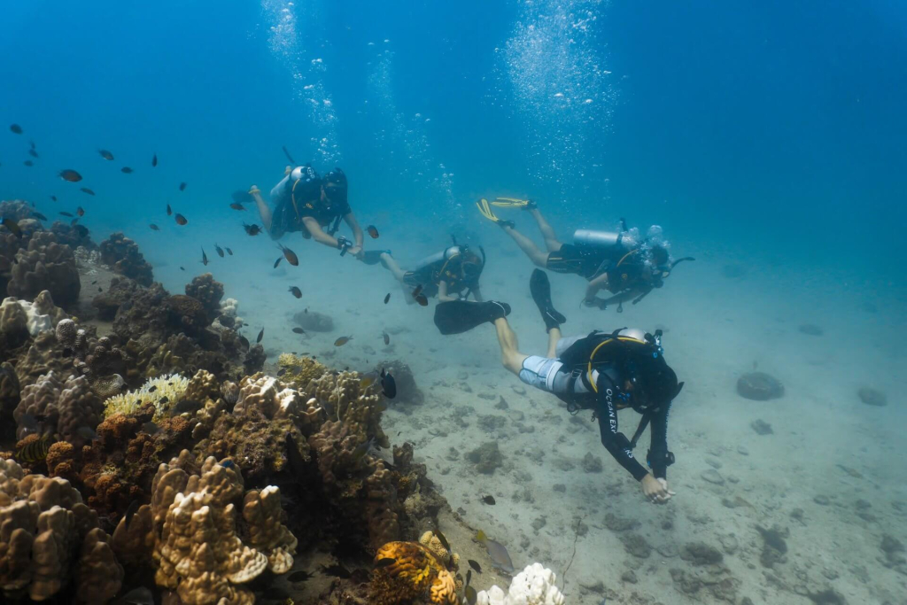 Open Water Diver certification dives in Koh Tao, combining tropical reefs, professional instruction, and high-quality scuba training.