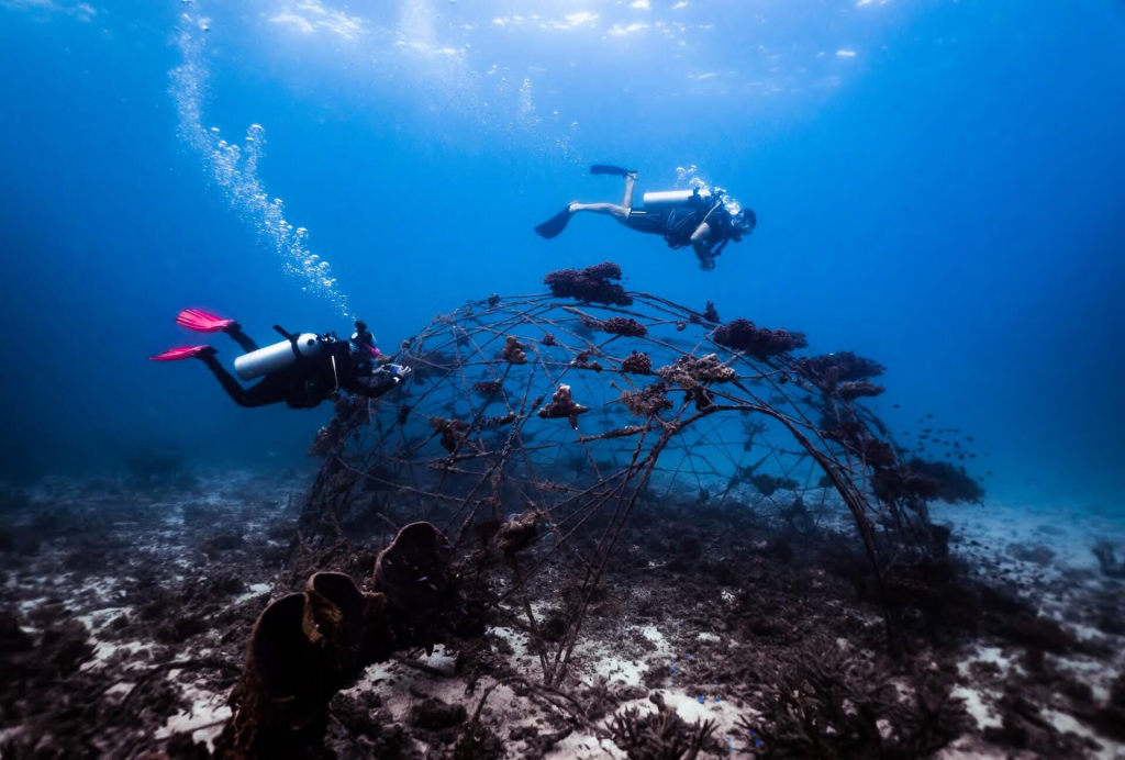 Reef Specialist trainees surveying artificial reef sites and learning how reef structures support coral settlement and biodiversity in Koh Tao.
