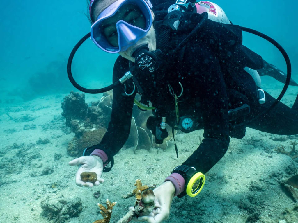 Reef Specialist trainees working on coral fragment restoration and reef rehabilitation projects during hands-on marine conservation training in Koh Tao.