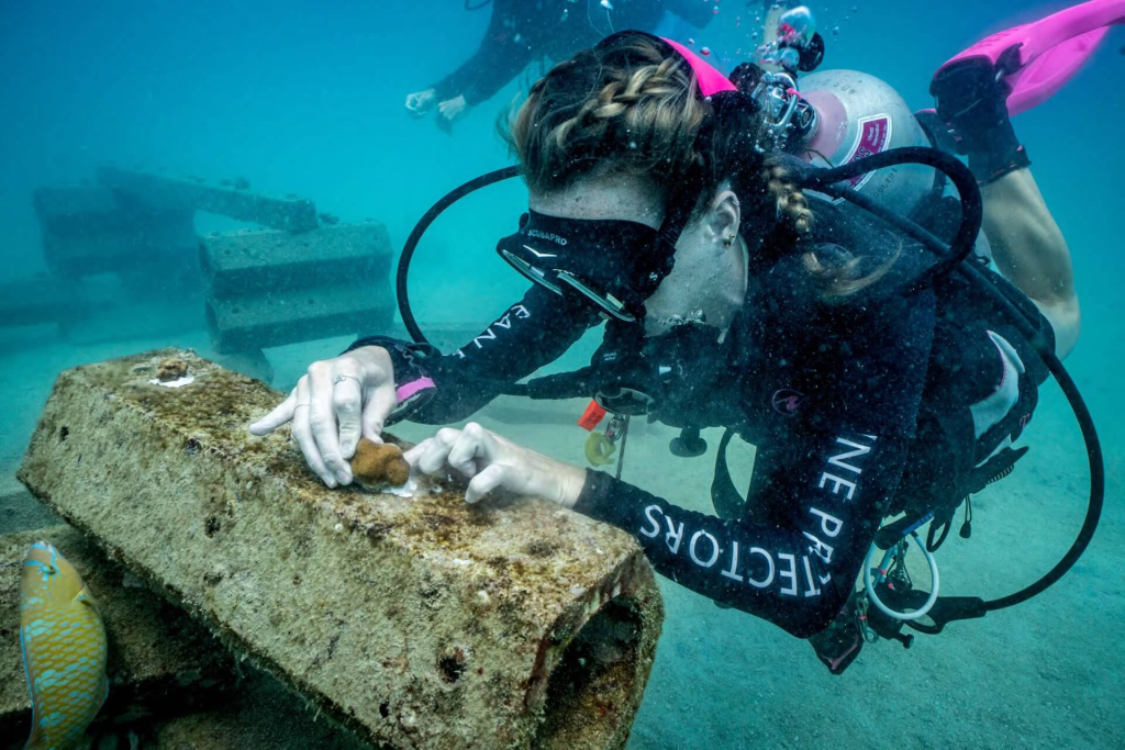 Reef Specialist students learning coral restoration techniques and reef conservation methods during a 4-week program in Koh Tao, Thailand.