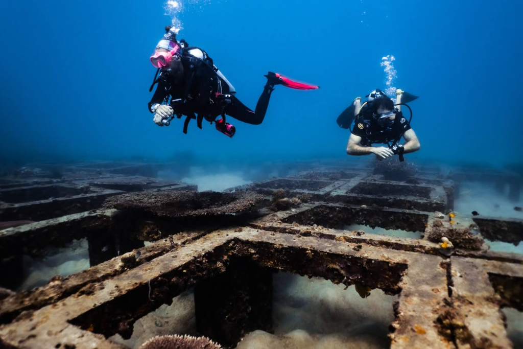 Reef Specialist divers monitoring coral restoration sites and recording reef health data during a 1-month marine conservation program in Koh Tao.