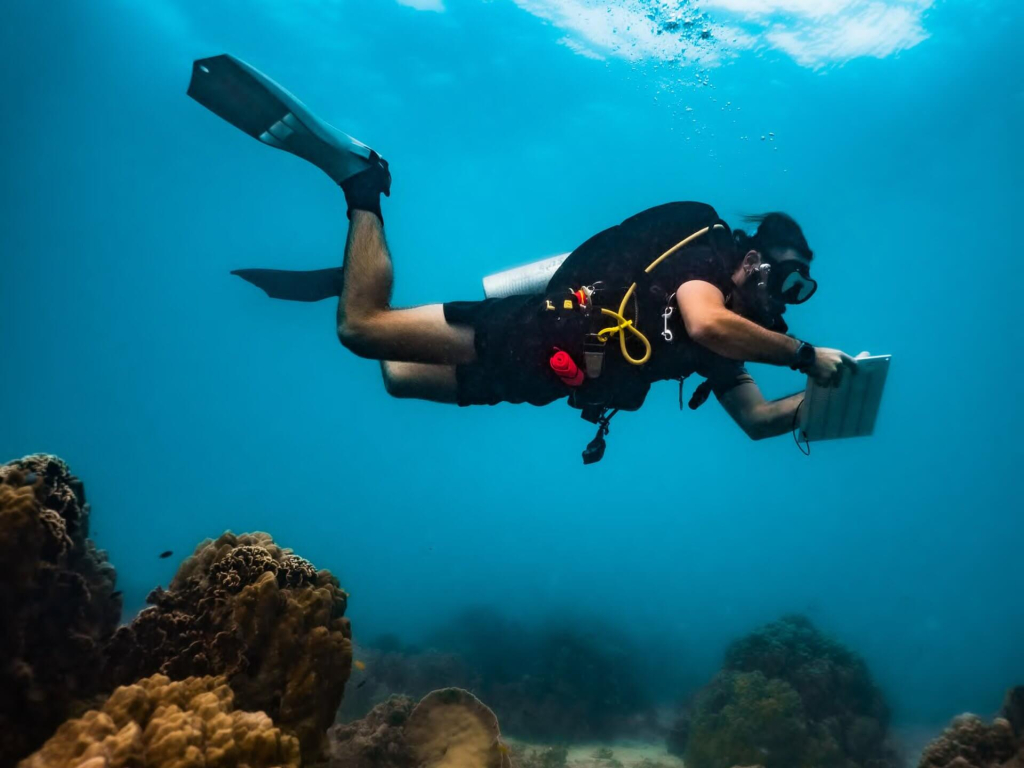 Scientific Diver students completing advanced underwater reef monitoring surveys with precise buoyancy and scientific diving techniques in Koh Tao, Thailand.