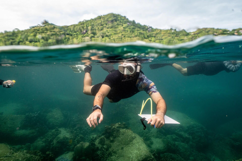 Underwater research frame used to collect shark population data during marine conservation surveys at Black Turtle Conservation, Koh Tao, Thailand.