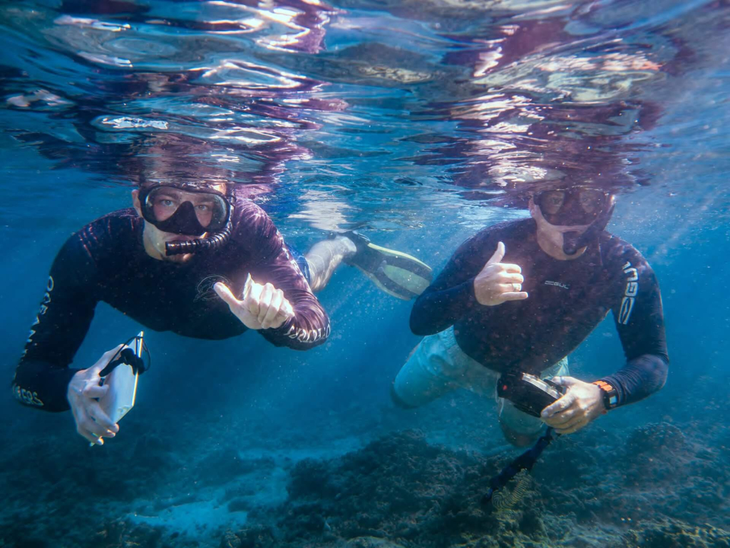Marine conservation team conducting a shark population survey while snorkeling in Koh Tao, Thailand, as part of the Shark Monitoring program.