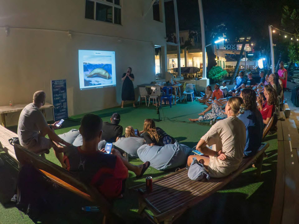 Marine conservation community meetup in Koh Tao, connecting divers, volunteers and researchers through weekly surveys and events.